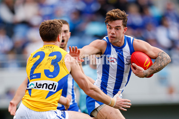 AFL 2024 Round 22 - North Melbourne v West Coast - A-52641158