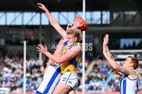 AFL 2024 Round 22 - North Melbourne v West Coast - A-52641176