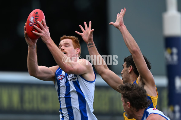 AFL 2024 Round 22 - North Melbourne v West Coast - A-52641199