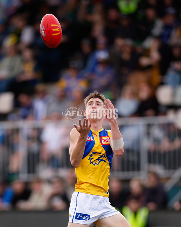 AFL 2024 Round 22 - North Melbourne v West Coast - A-52642112