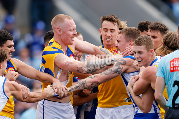 AFL 2024 Round 22 - North Melbourne v West Coast - A-52642125