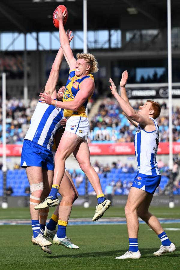 AFL 2024 Round 22 - North Melbourne v West Coast - A-52642126