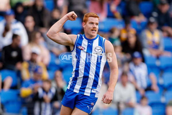 AFL 2024 Round 22 - North Melbourne v West Coast - A-52642127