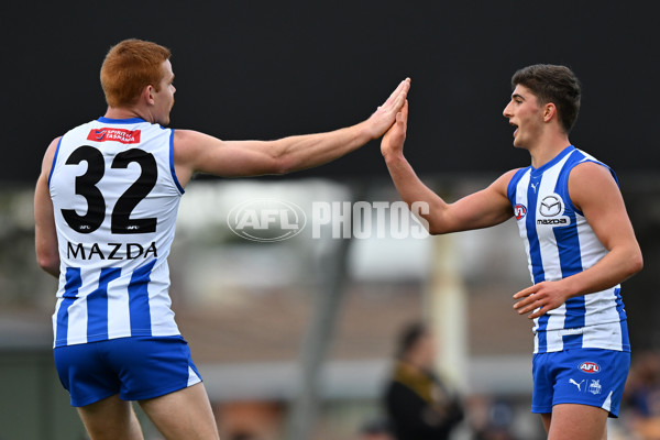 AFL 2024 Round 22 - North Melbourne v West Coast - A-52642165