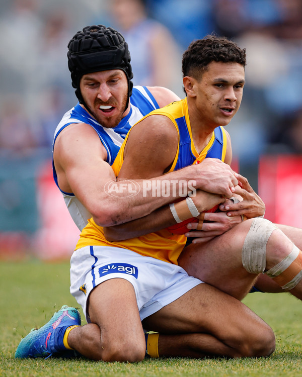 AFL 2024 Round 22 - North Melbourne v West Coast - A-52642170