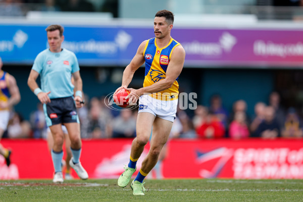 AFL 2024 Round 22 - North Melbourne v West Coast - A-52642172