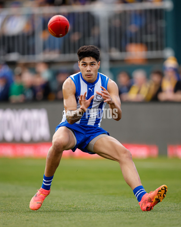 AFL 2024 Round 22 - North Melbourne v West Coast - A-52642173