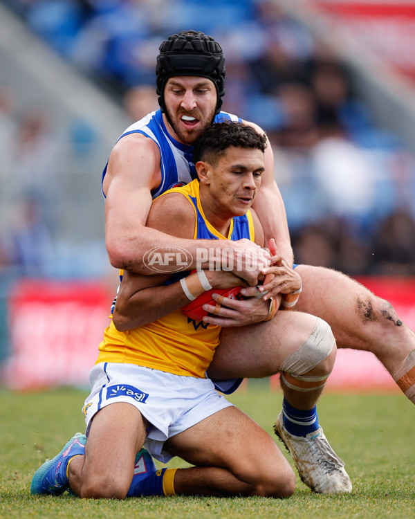 AFL 2024 Round 22 - North Melbourne v West Coast - A-52642174