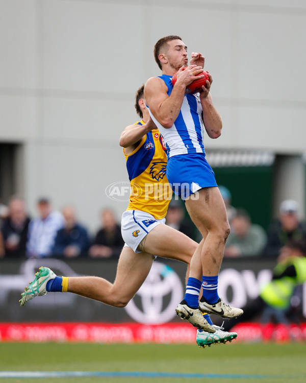 AFL 2024 Round 22 - North Melbourne v West Coast - A-52642175