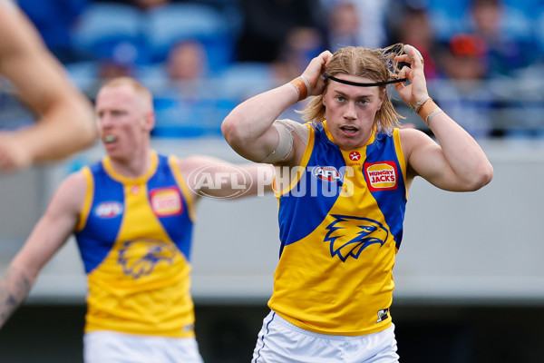 AFL 2024 Round 22 - North Melbourne v West Coast - A-52642176
