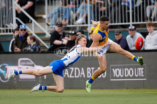 AFL 2024 Round 22 - North Melbourne v West Coast - A-52642177