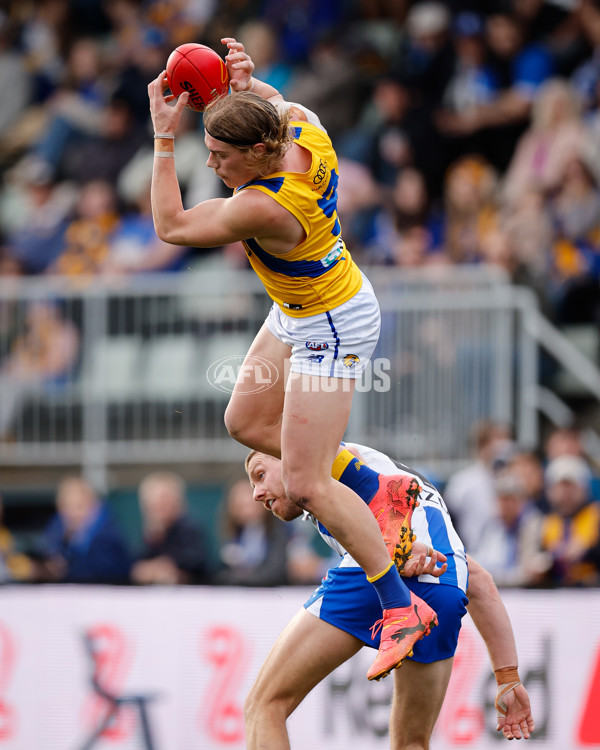 AFL 2024 Round 22 - North Melbourne v West Coast - A-52642194