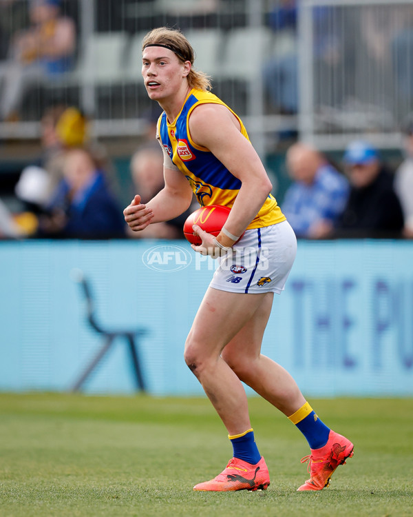 AFL 2024 Round 22 - North Melbourne v West Coast - A-52642195