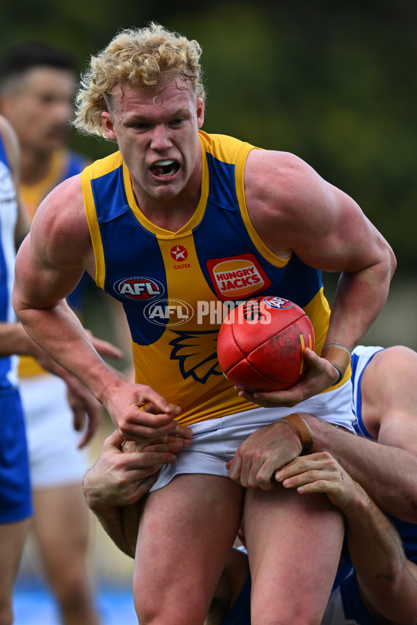 AFL 2024 Round 22 - North Melbourne v West Coast - A-52642204