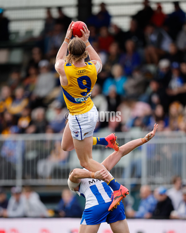 AFL 2024 Round 22 - North Melbourne v West Coast - A-52643828