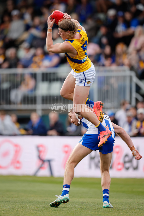 AFL 2024 Round 22 - North Melbourne v West Coast - A-52643829