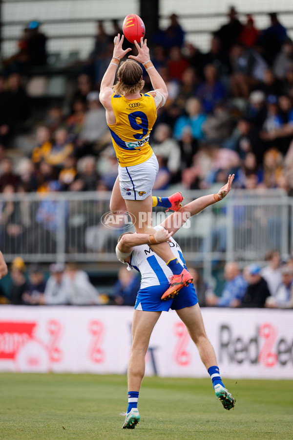 AFL 2024 Round 22 - North Melbourne v West Coast - A-52643830