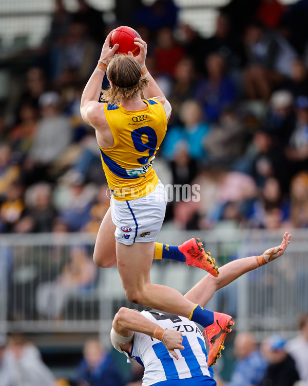 AFL 2024 Round 22 - North Melbourne v West Coast - A-52643831