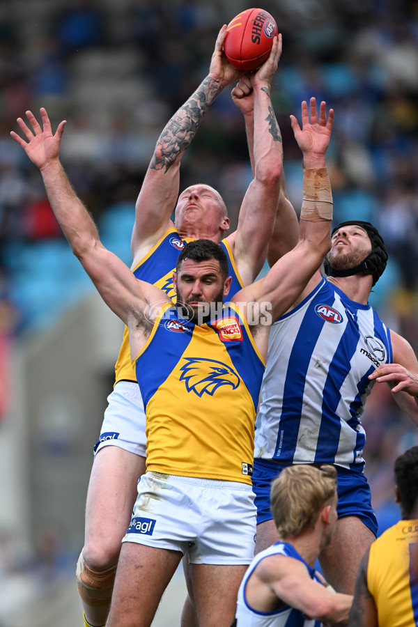 AFL 2024 Round 22 - North Melbourne v West Coast - A-52643837