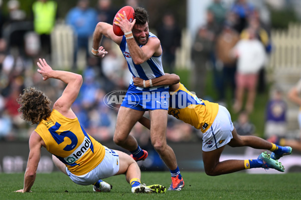 AFL 2024 Round 22 - North Melbourne v West Coast - A-52643839