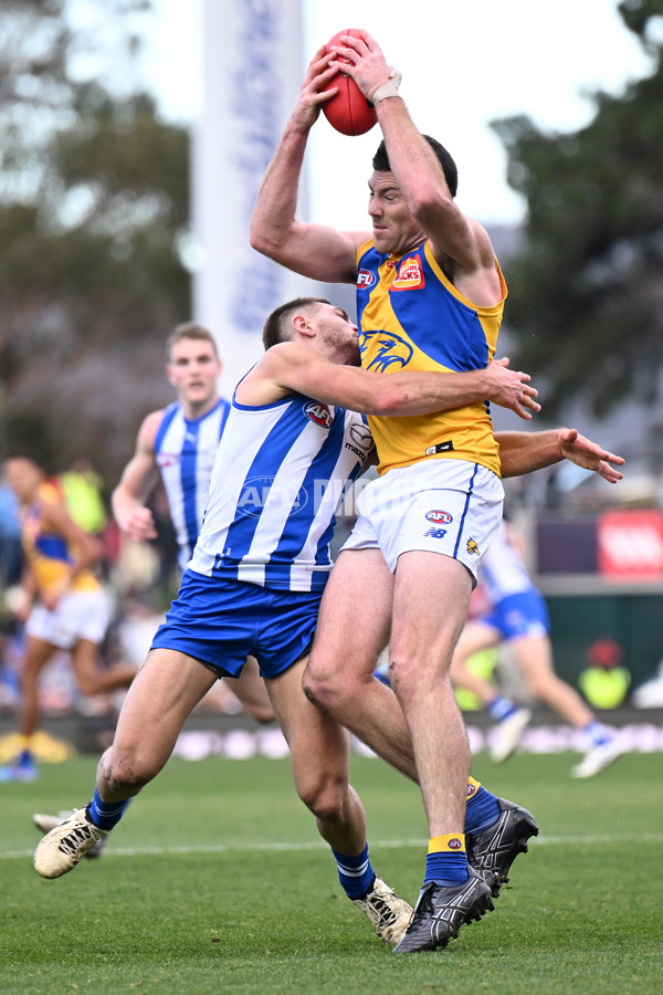 AFL 2024 Round 22 - North Melbourne v West Coast - A-52643857