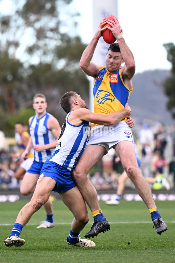 AFL 2024 Round 22 - North Melbourne v West Coast - A-52643858