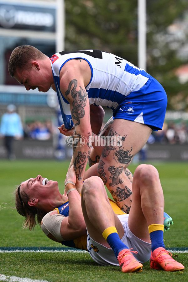 AFL 2024 Round 22 - North Melbourne v West Coast - A-52643862