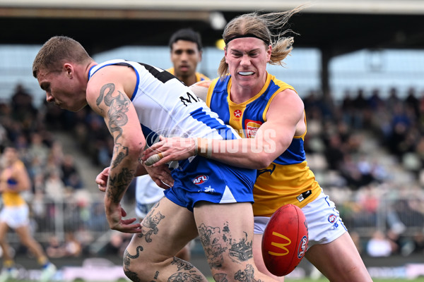AFL 2024 Round 22 - North Melbourne v West Coast - A-52643869