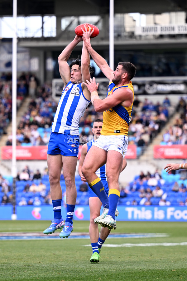 AFL 2024 Round 22 - North Melbourne v West Coast - A-52643871