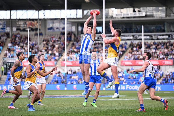 AFL 2024 Round 22 - North Melbourne v West Coast - A-52643872