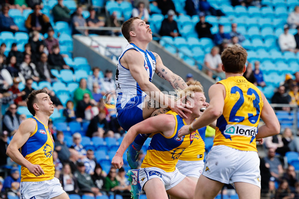 AFL 2024 Round 22 - North Melbourne v West Coast - A-52643876