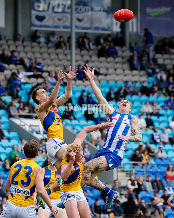 AFL 2024 Round 22 - North Melbourne v West Coast - A-52643877