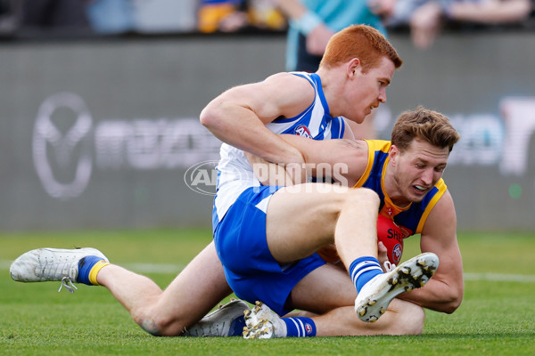 AFL 2024 Round 22 - North Melbourne v West Coast - A-52643878