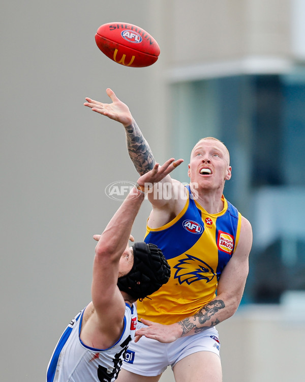 AFL 2024 Round 22 - North Melbourne v West Coast - A-52643882