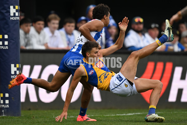 AFL 2024 Round 22 - North Melbourne v West Coast - A-52643905