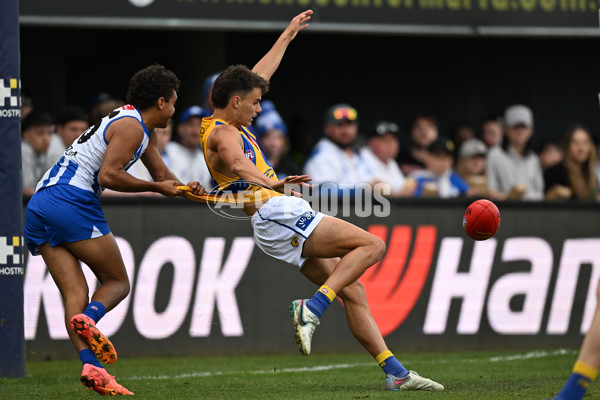 AFL 2024 Round 22 - North Melbourne v West Coast - A-52643909