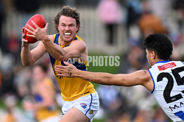 AFL 2024 Round 22 - North Melbourne v West Coast - A-52643925