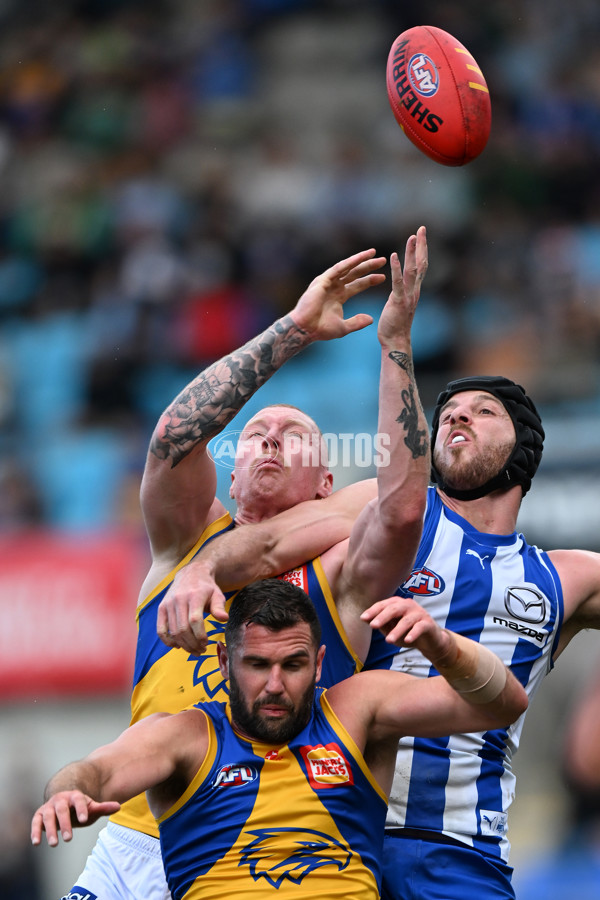 AFL 2024 Round 22 - North Melbourne v West Coast - A-52644243