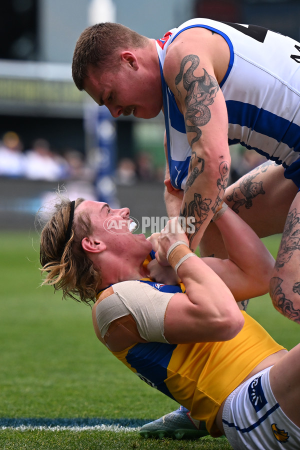 AFL 2024 Round 22 - North Melbourne v West Coast - A-52644246