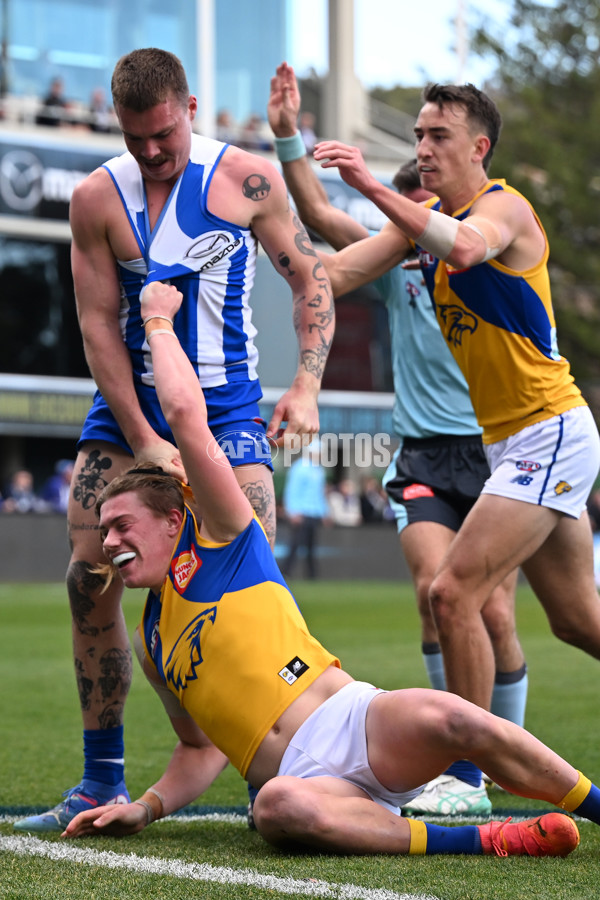 AFL 2024 Round 22 - North Melbourne v West Coast - A-52644248
