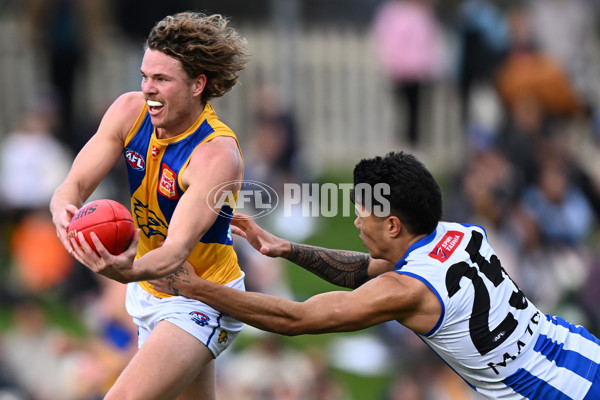 AFL 2024 Round 22 - North Melbourne v West Coast - A-52644306