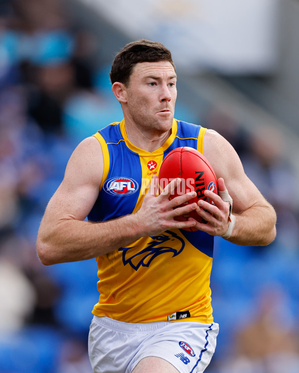 AFL 2024 Round 22 - North Melbourne v West Coast - A-52644310