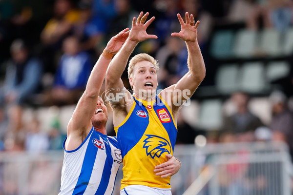 AFL 2024 Round 22 - North Melbourne v West Coast - A-52644313