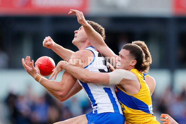 AFL 2024 Round 22 - North Melbourne v West Coast - A-52644314