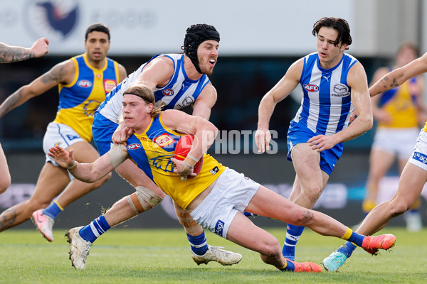 AFL 2024 Round 22 - North Melbourne v West Coast - A-52644315