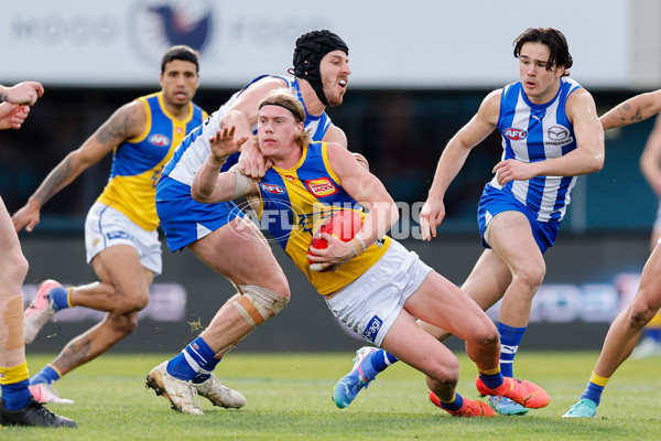 AFL 2024 Round 22 - North Melbourne v West Coast - A-52644316