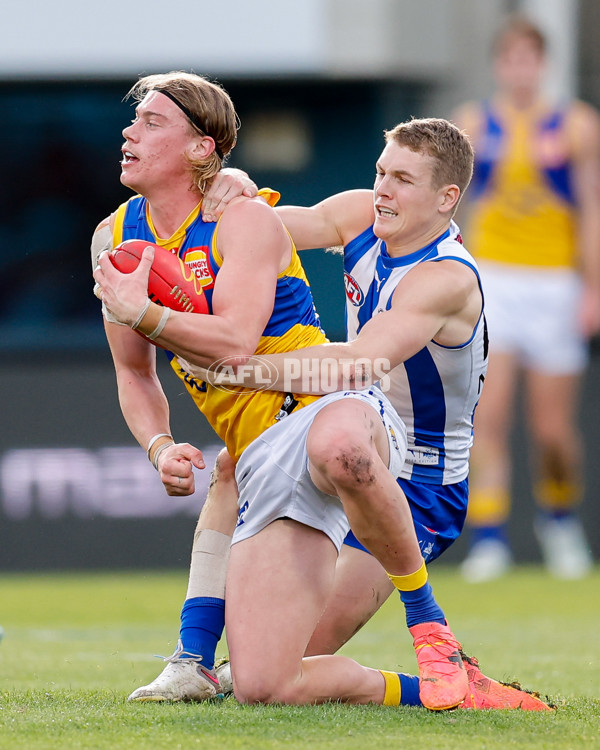 AFL 2024 Round 22 - North Melbourne v West Coast - A-52644317