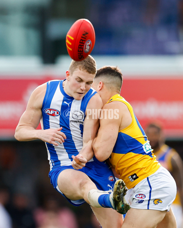 AFL 2024 Round 22 - North Melbourne v West Coast - A-52644318