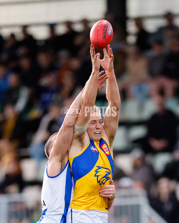AFL 2024 Round 22 - North Melbourne v West Coast - A-52644319