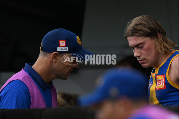 AFL 2024 Round 22 - North Melbourne v West Coast - A-52646446